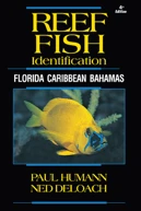 Reef Fish Identification
