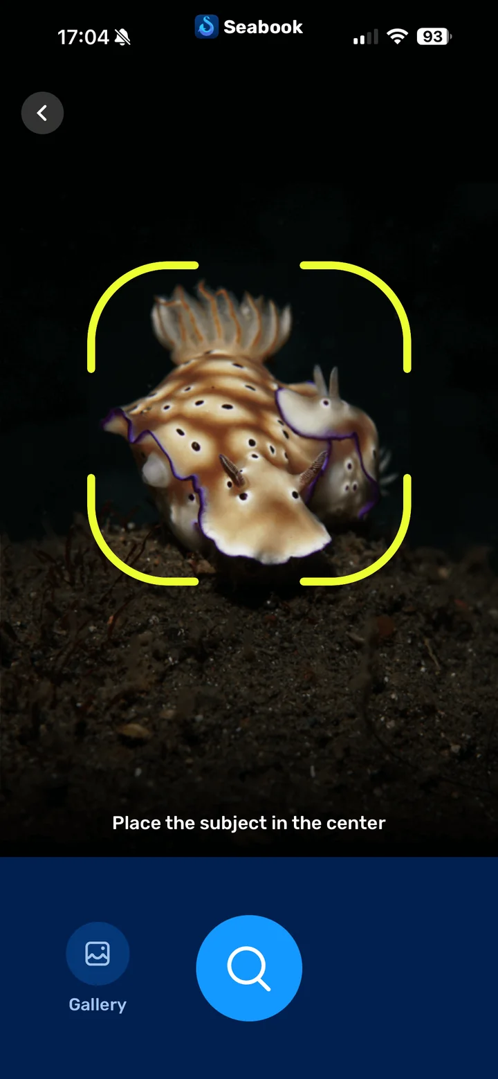 Seabook photo identification screen framing a nudibranch