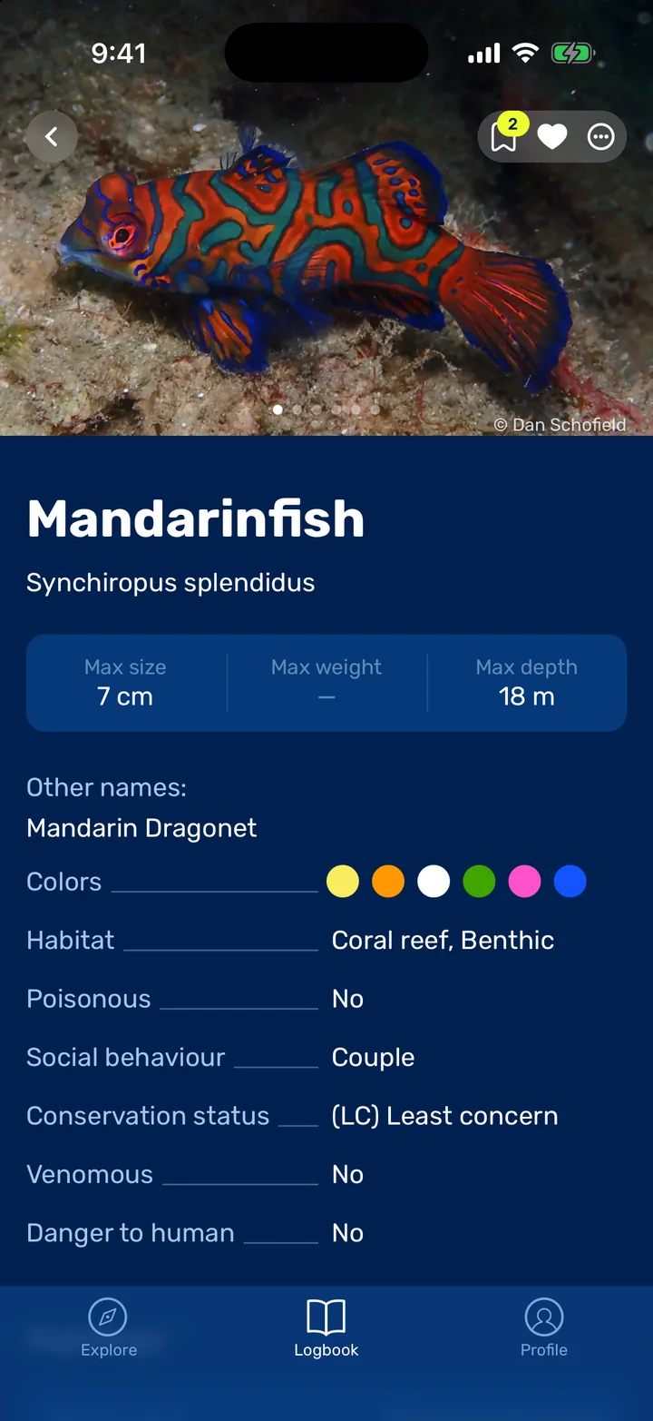 Seabook species profile for the mandarinfish with size, depth, habitat and conservation status